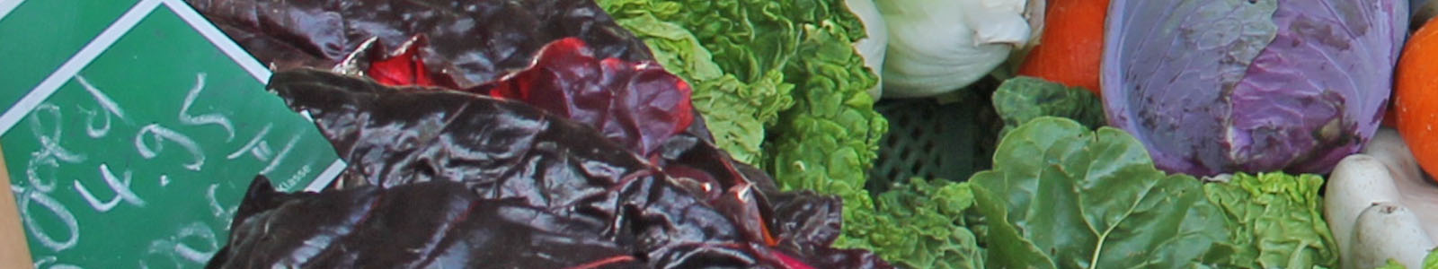 Salat und Rotkohl mit Verkaufsschild ©DLR